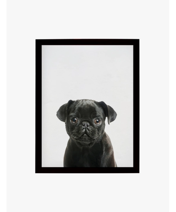 Cuadro Pug Negro Bebe | Be Minimal