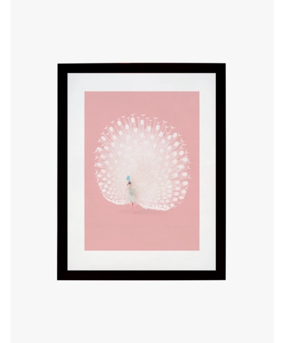 Cuadro Pavo Real | Be Minimal