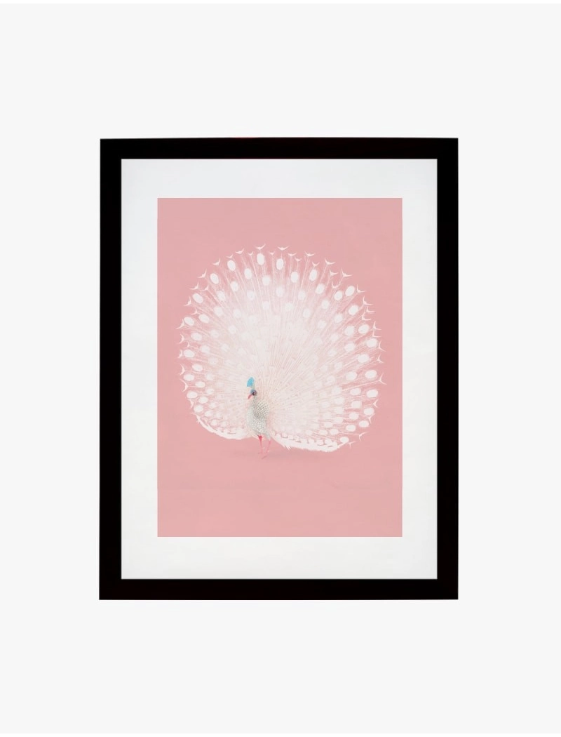 Cuadro Pavo Real | Be Minimal