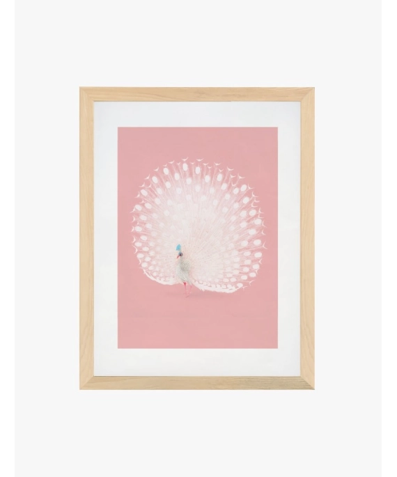 Cuadro Pavo Real | Be Minimal
