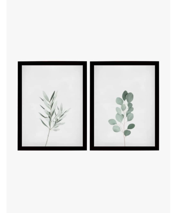 Set Cuadro Botanical | Be Minimal