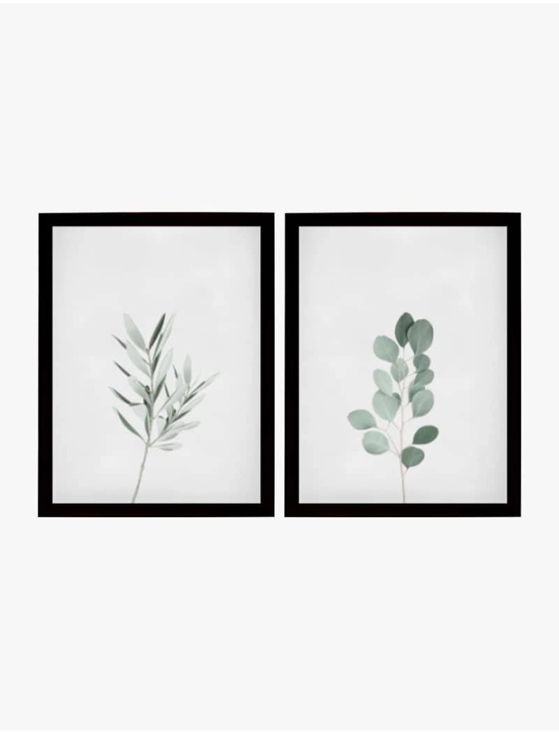 Set Cuadro Botanical | Be Minimal