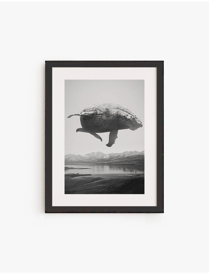 Cuadro Ballena volando | Be Minimal