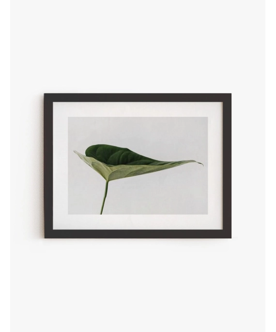 Cuadro Tropical | Be Minimal