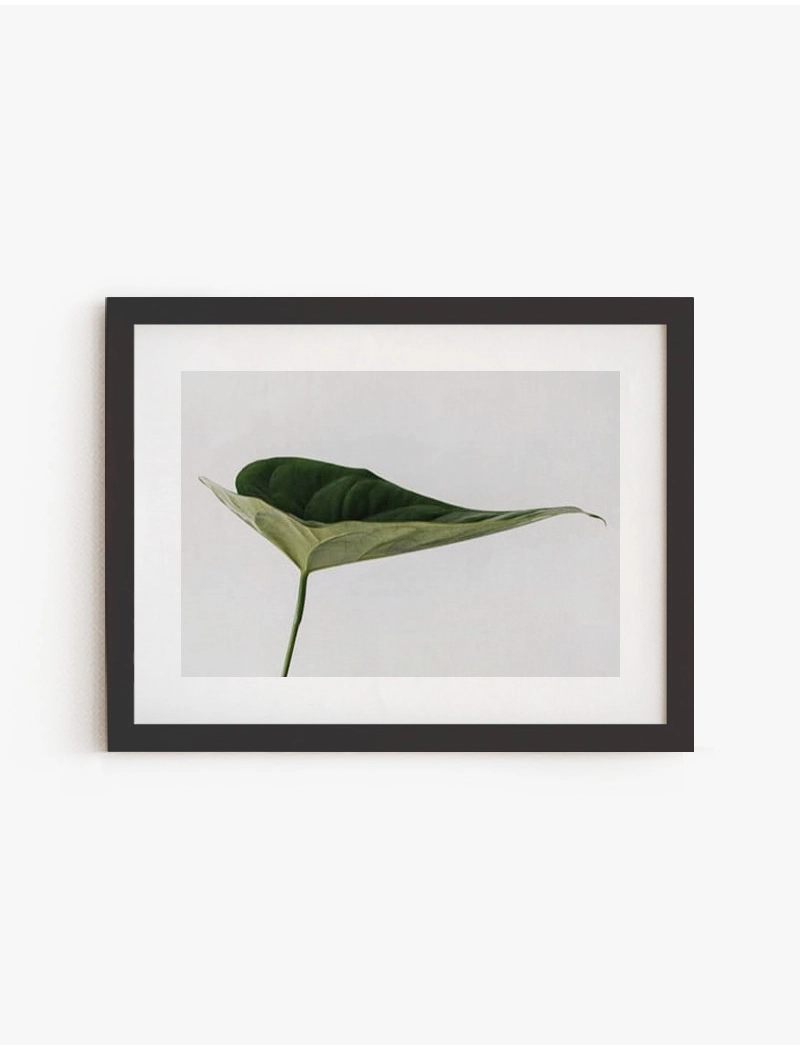 Cuadro Tropical | Be Minimal