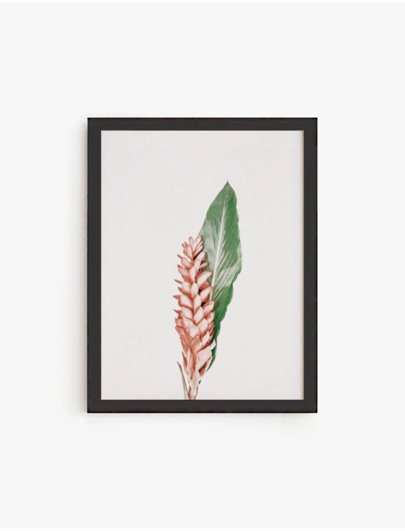 Cuadro Flores Tropicales | Be Minimal