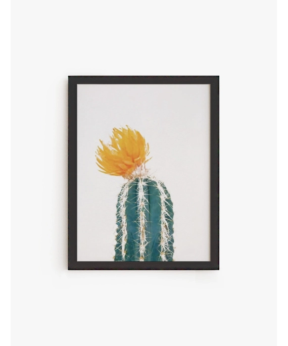 Cuadro Cactus Flor amarilla | Be Minimal