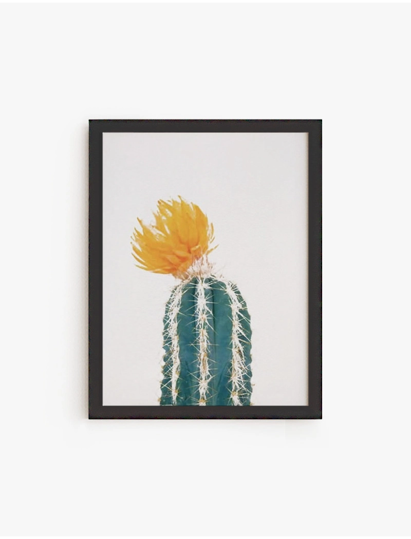 Cuadro Cactus Flor amarilla | Be Minimal