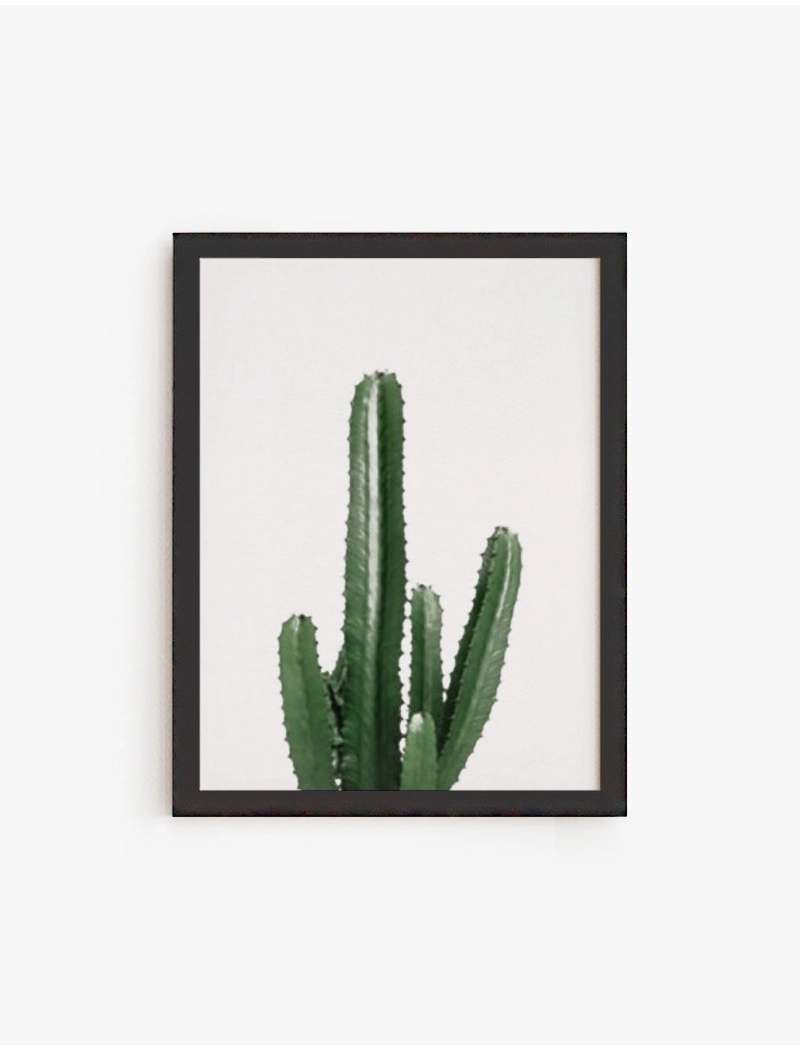 Cuadro Cactus del Oeste | Be Minimal