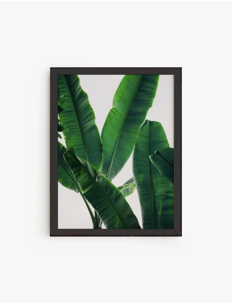 Cuadro Banana Leaves | Be Minimal