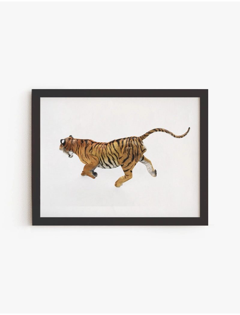 Cuadro Tigre Bengala | Be Minimal