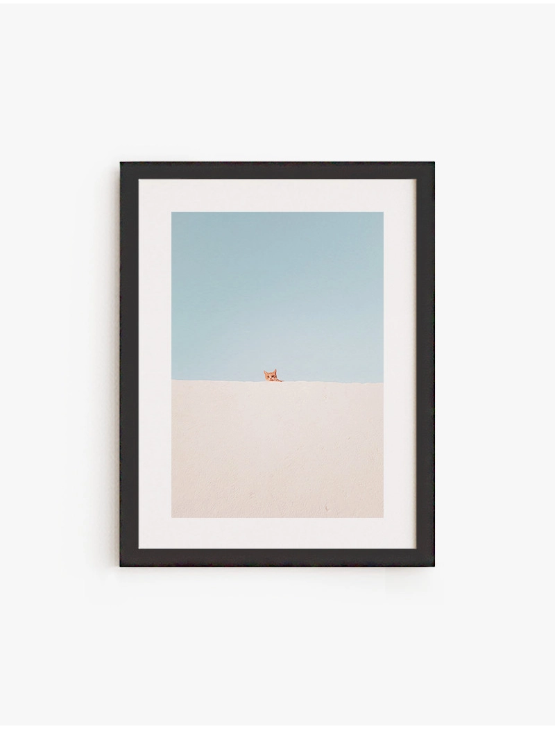 Cuadro Pequeño Gato | Be Minimal