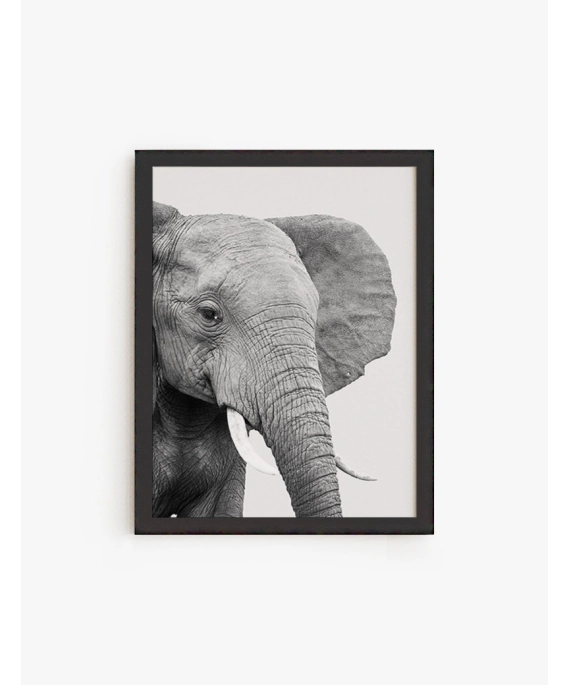 Cuadro Elefante Africano | Be Minimal