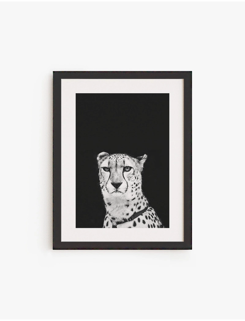 Cuadro Cheetah | Be Minimal