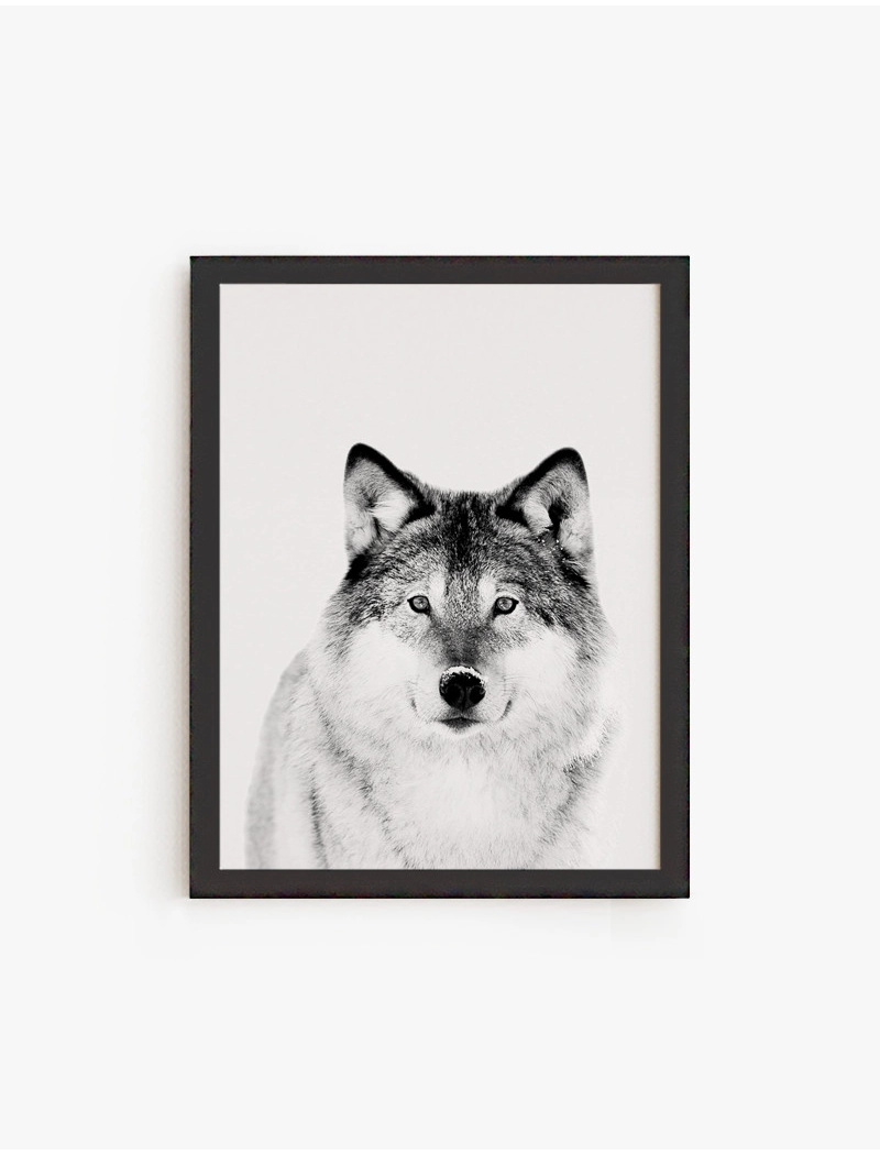 Cuadro Lobo | Be Minimal