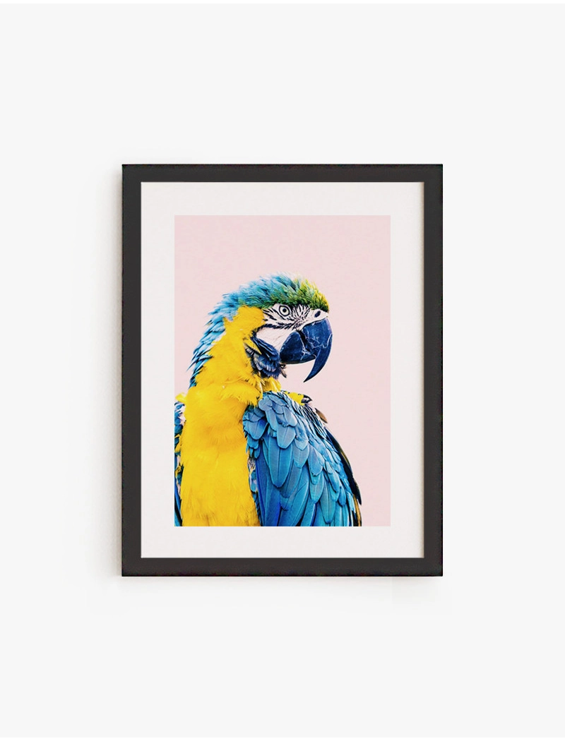 Cuadro Guacamayo | Be Minimal