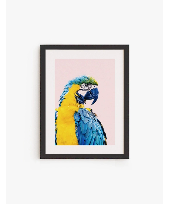Cuadro Guacamayo | Be Minimal
