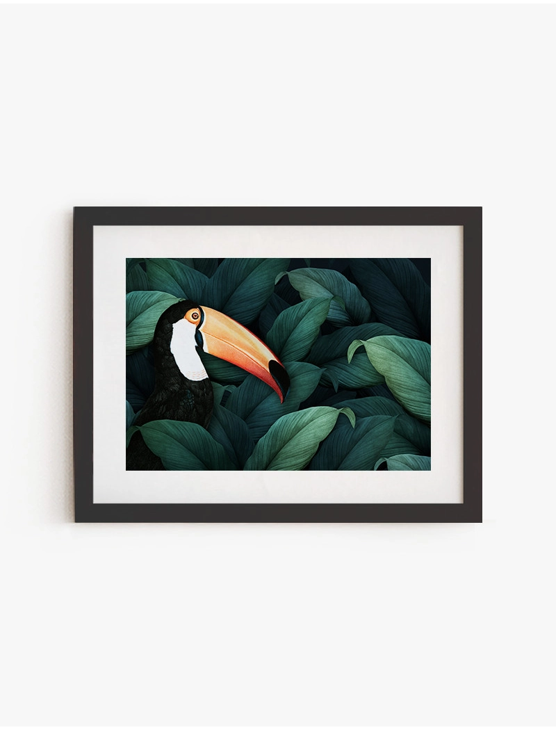 Cuadro Tucan | Be Minimal