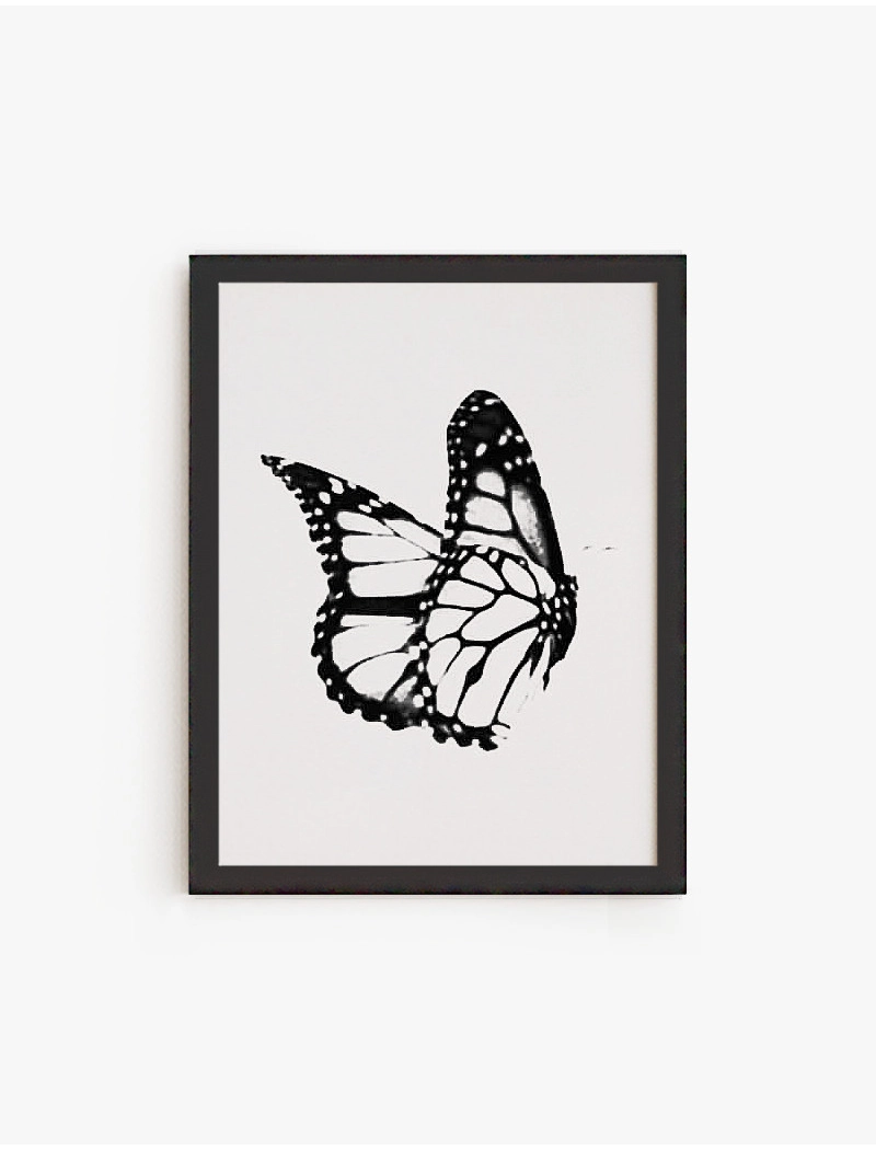 Cuadro Mariposa | Be Minimal
