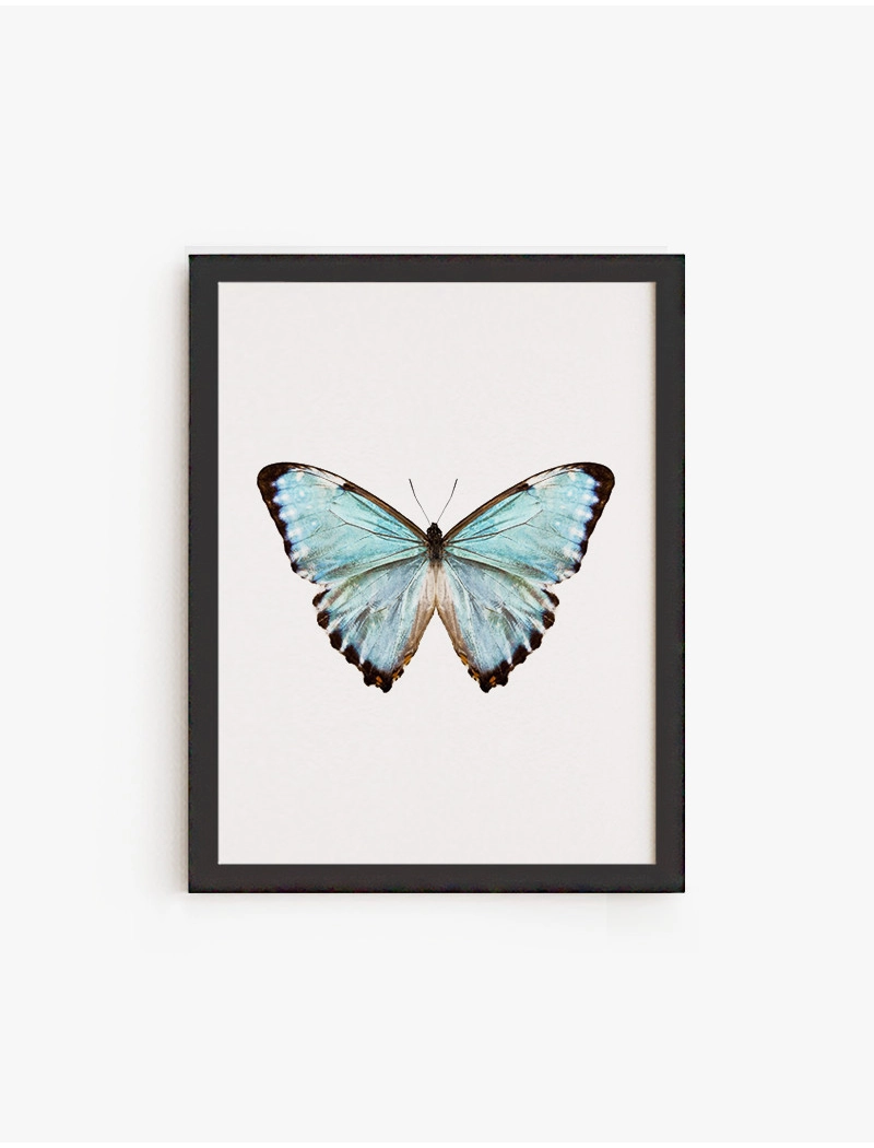 Cuadro Mariposa Color  A | Be Minimal