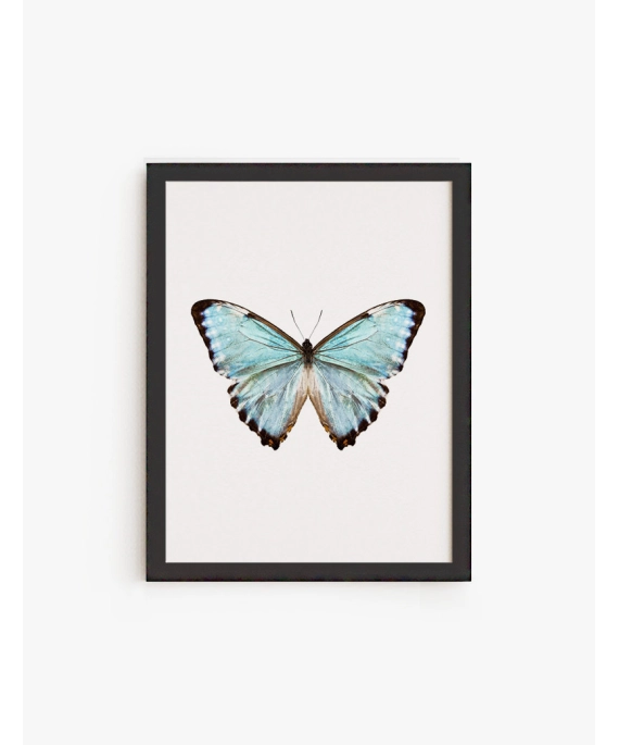 Cuadro Mariposa Color  A | Be Minimal