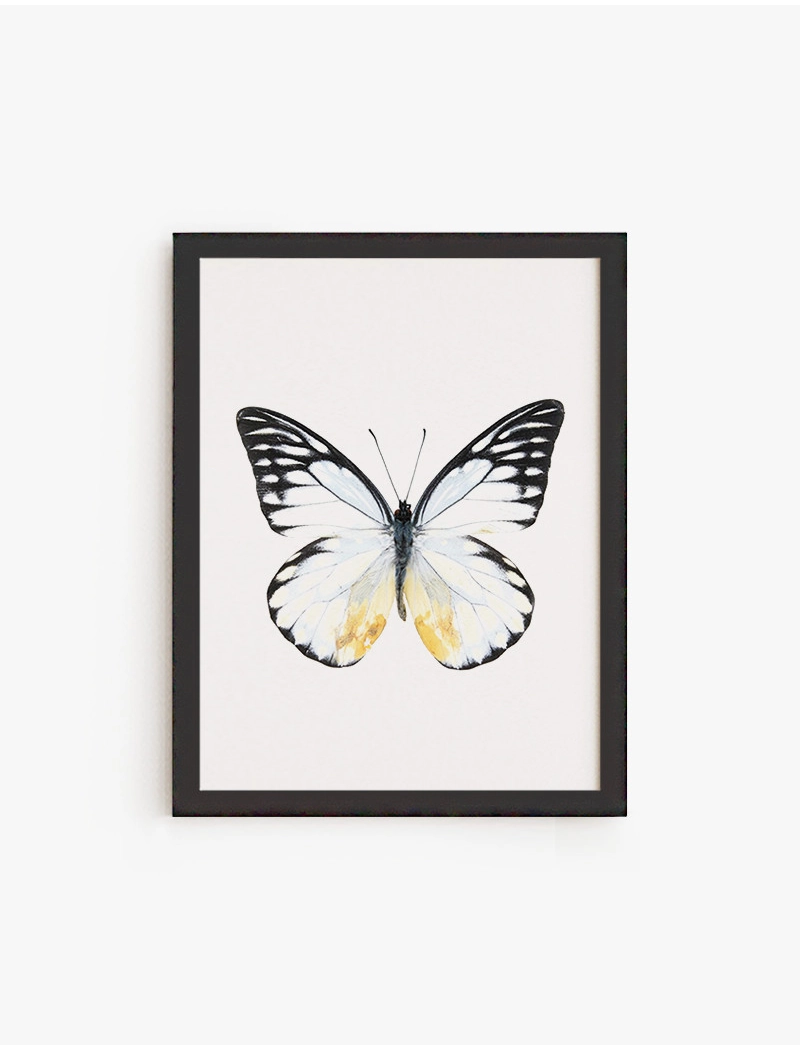 Cuadro Mariposa Color C | Be Minimal