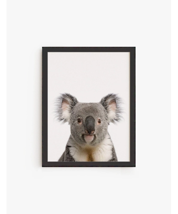 Cuadro Koala | Be Minimal