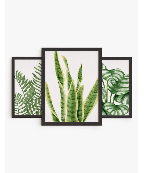 Set cuadro Set Botanica 02 | Be Minimal