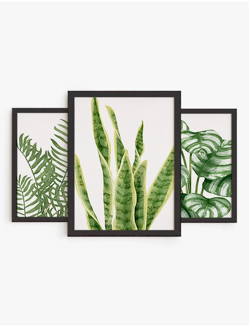 Set cuadro Set Botanica 02 | Be Minimal