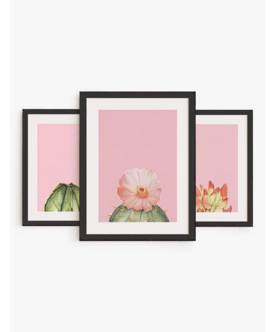 Set cuadro Cactus Rosa | Be Minimal