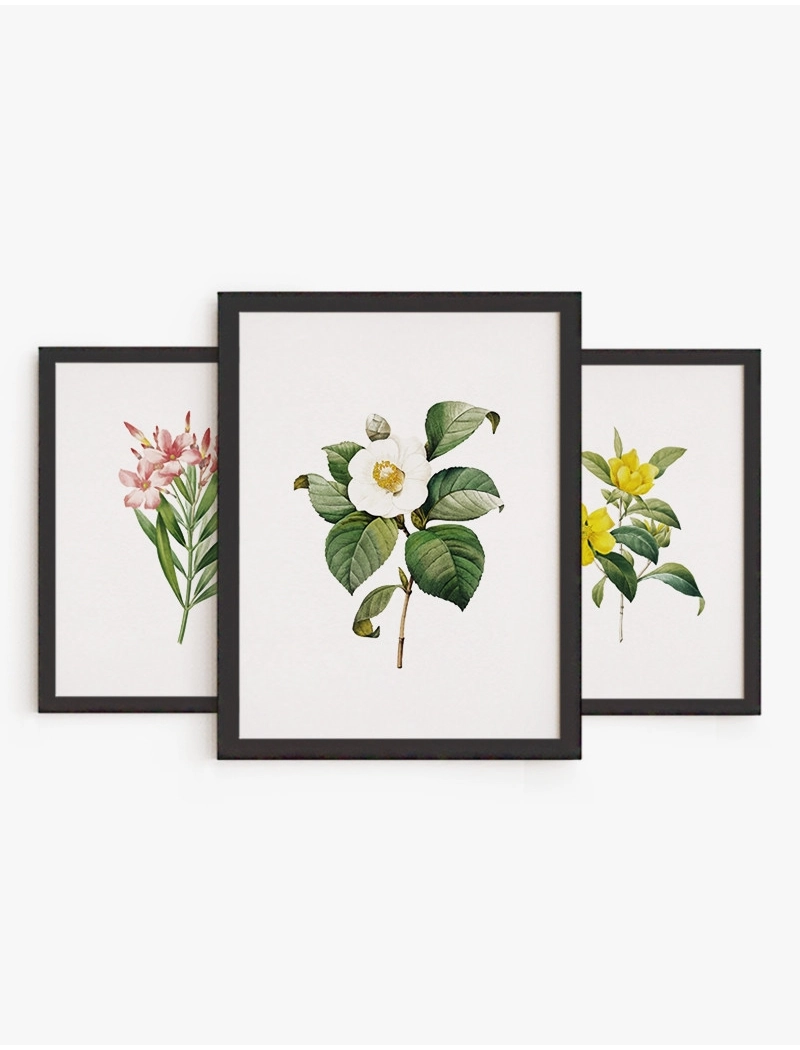Set cuadros Flores | Be Minimal