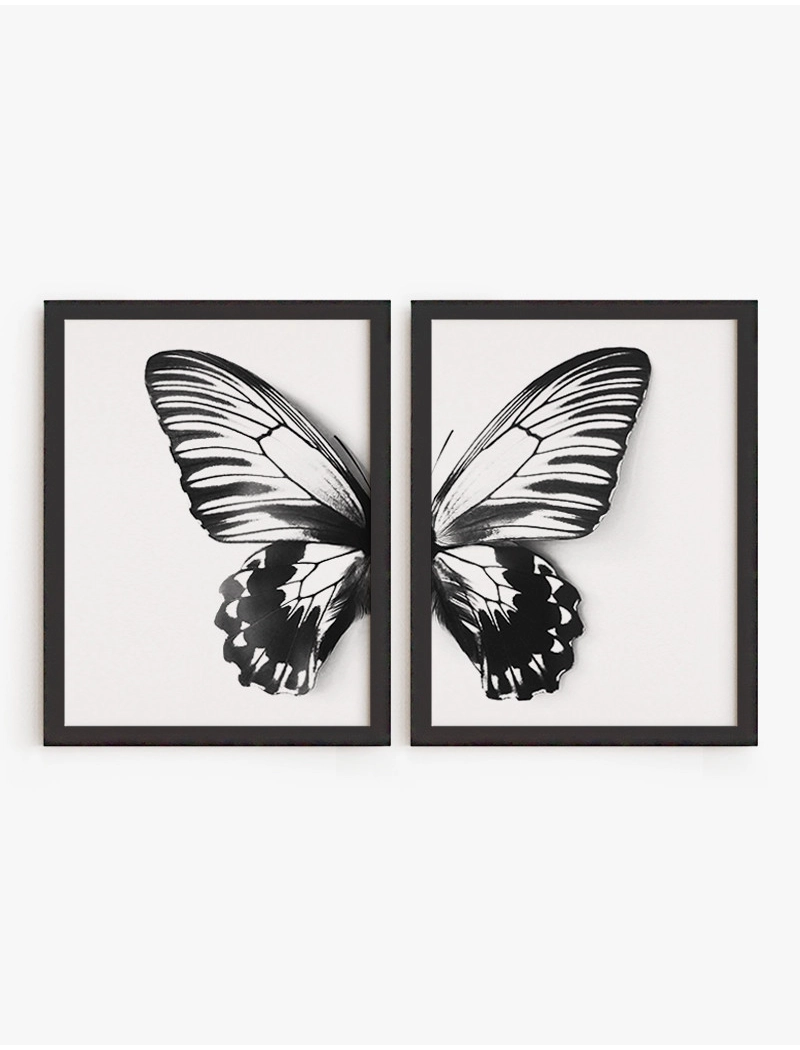 Set Cuadro Mariposa | Be Minimal