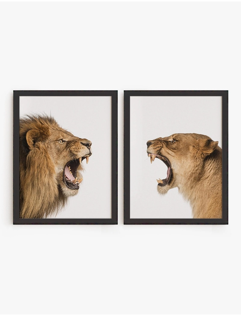 Set Cuadro Leones | Be Minimal
