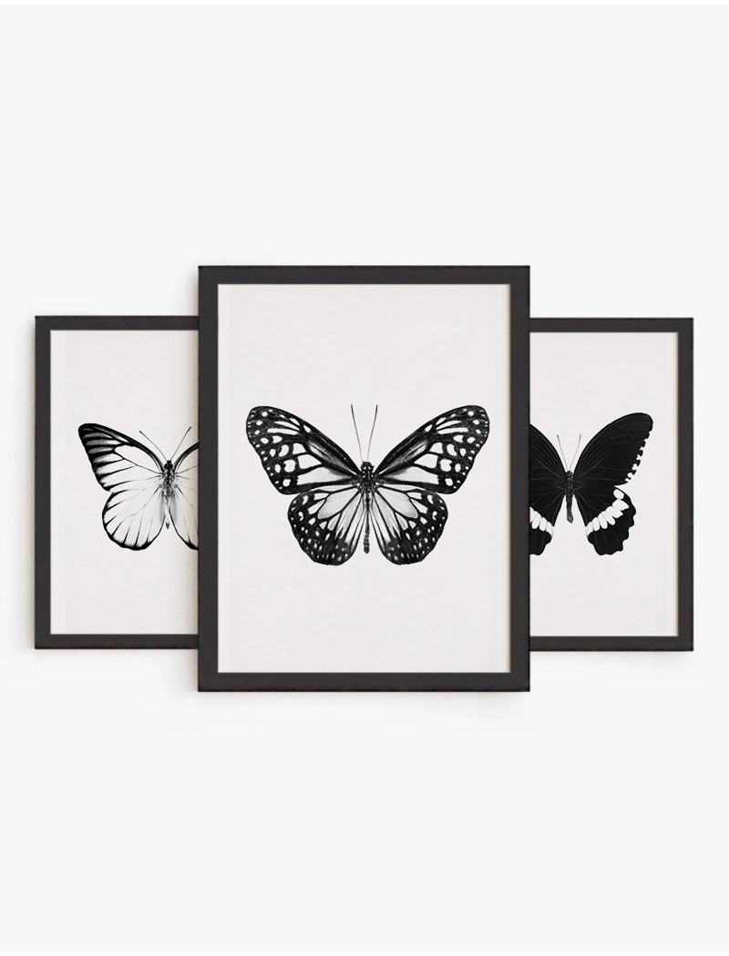 Set Cuadros Mariposas Blanco y Negro | Be Minimal