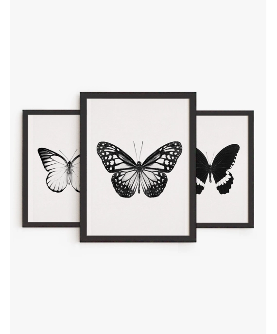 Set Cuadros Mariposas Blanco y Negro | Be Minimal