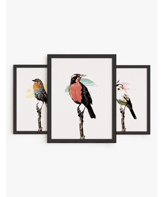 Set Cuadros Aves Chilenas | Be Minimal