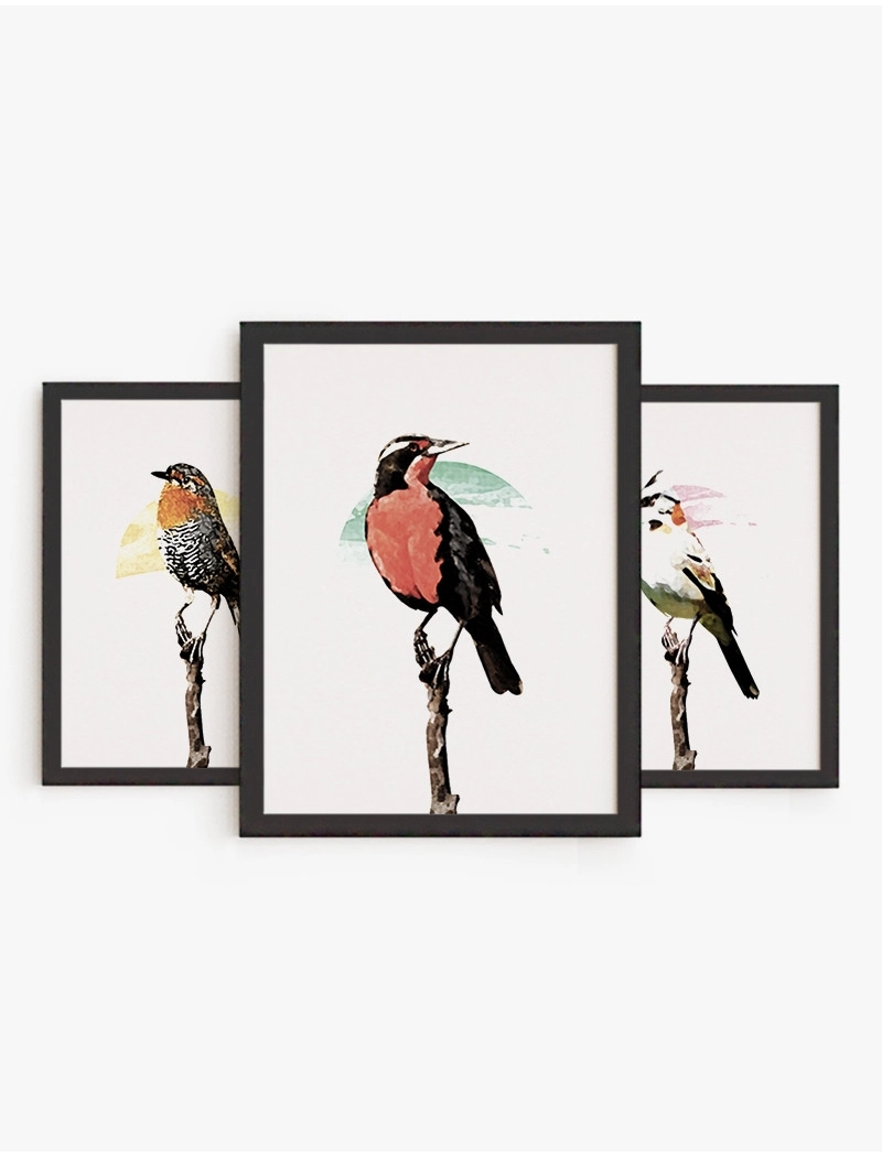 Set Cuadros Aves Chilenas | Be Minimal