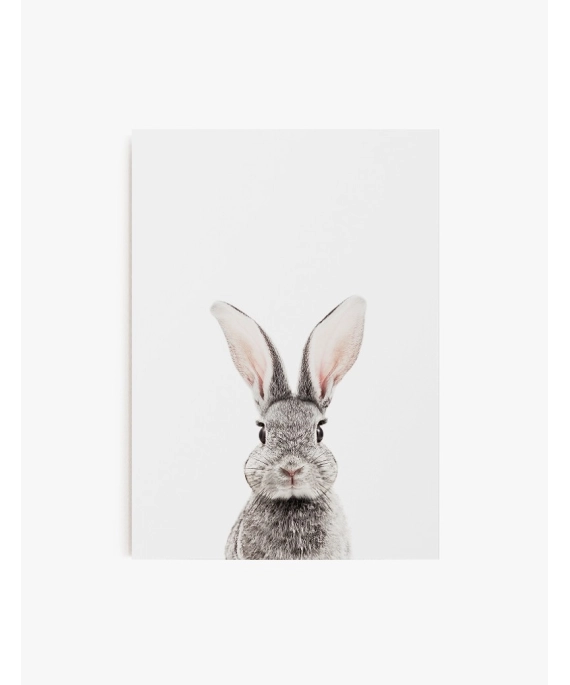Cuadro Conejo Gris | Be Minimal