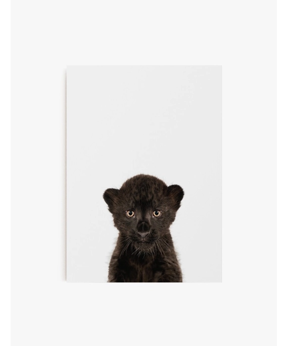 Cuadro Puma Bebe| Be Minimal