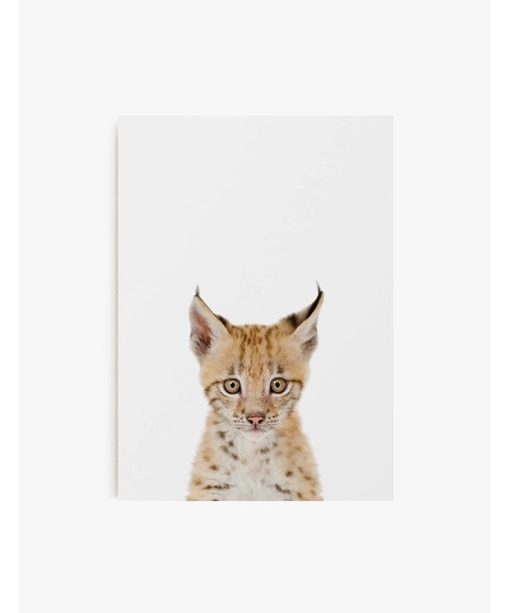 Cuadro Lince Bebe | Be Minimal