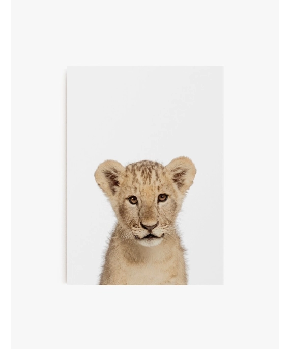 Cuadro León Bebe | Be Minimal