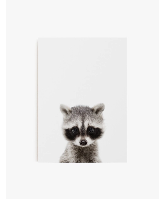 Cuadro Mapache Bebe | Be Minimal