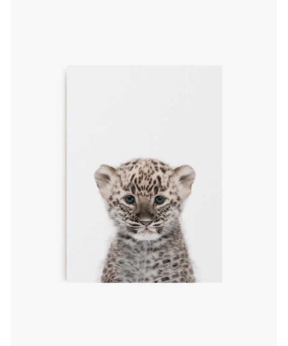 Cuadro Leopardo Bebe | Be Minimal