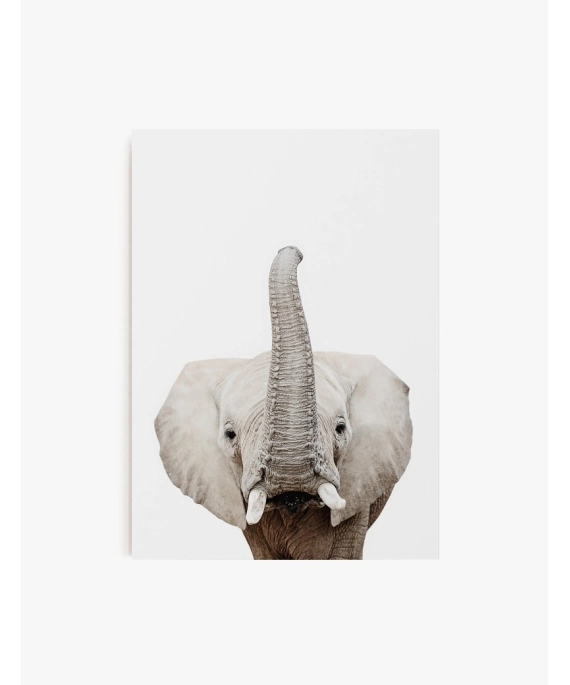 Cuadro Elefante | Be Minimal