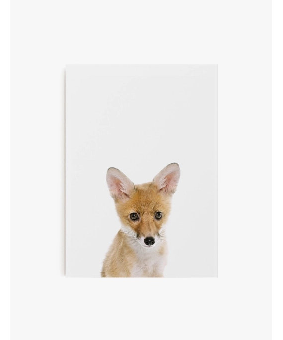 Cuadro Zorro | Be Minimal