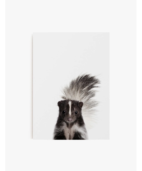 Cuadro Zorrillo | Be Minimal