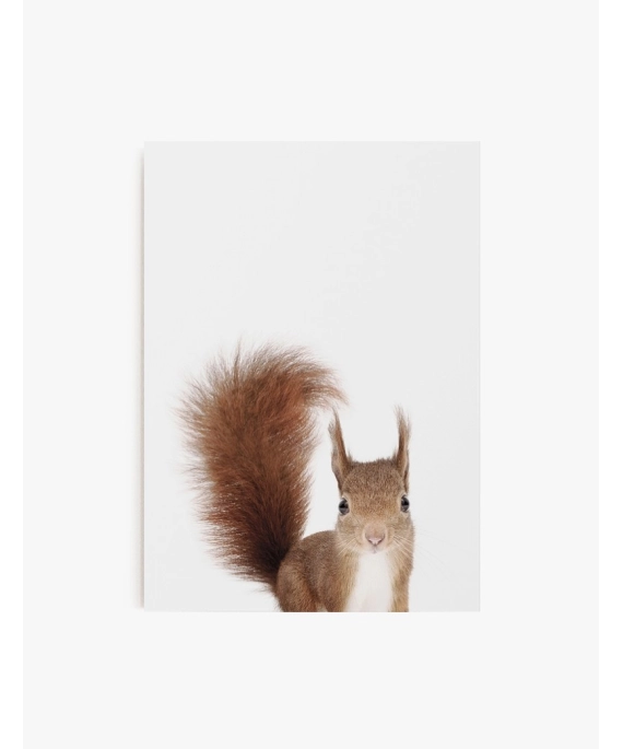 Cuadro Ardilla | Be Minimal