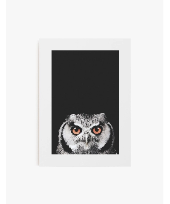 Cuadro Búho | Be Minimal