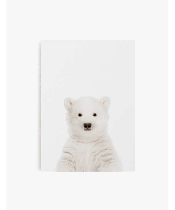 Cuadro Oso Polar Bebe | Be Minimal