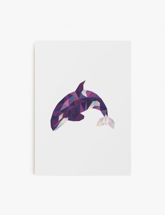 Orca Geométrica